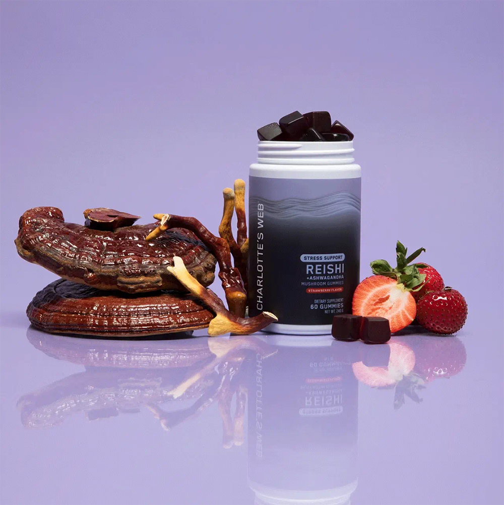 스크린샷 2025-01-23 015647 1000.png