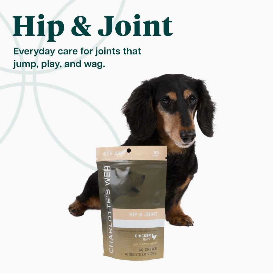 Hip_Joint_Dog_Chews_Chicken_Flavor_60ct_2048x2048.jpg